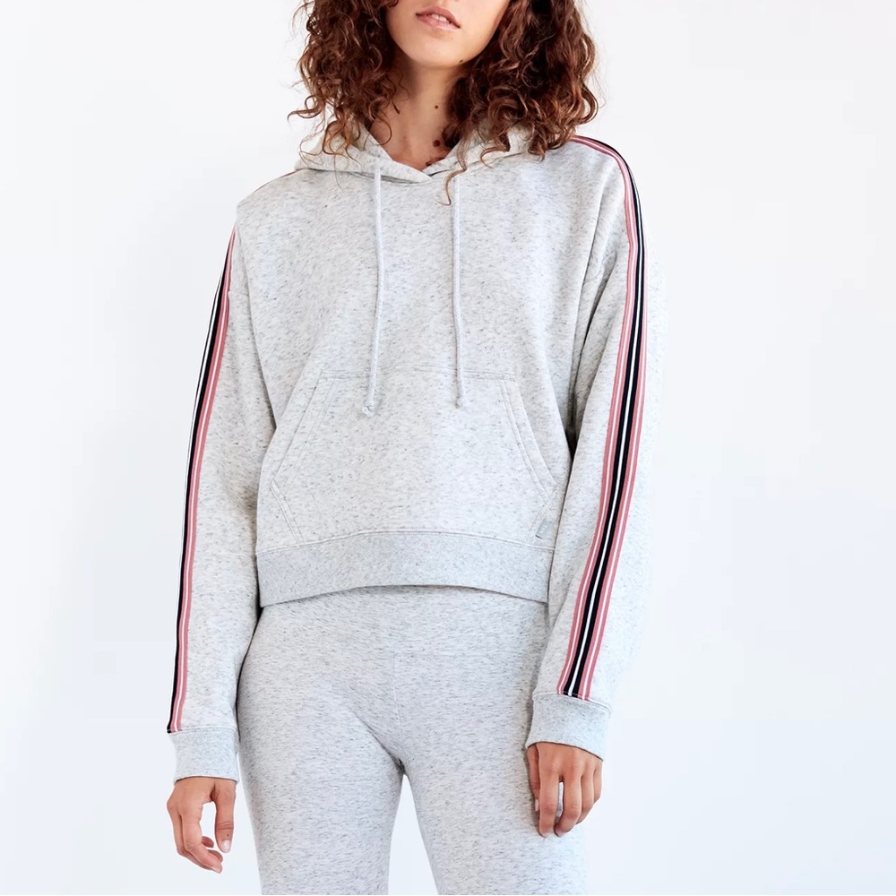 Aritzia Iconic Hoodie